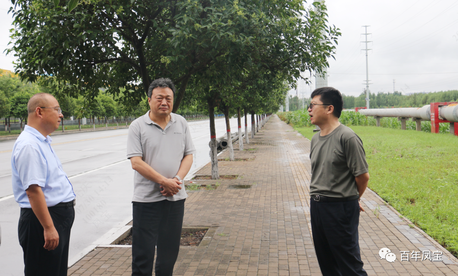 雷涛到亚美在线中国有限公司特钢集团调研指导防汛工作